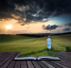 Book concept Concept landscape young boy walking through field at sunset in Summer